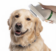 Cepillo Secador 2 en 1 para Perros y Gato