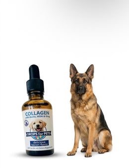 Suplemento Colágeno Perros