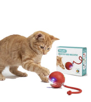Bola Interactiva para Gatos