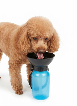 Bebero Portátil para Perros