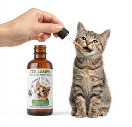 Suplemento Colágeno Para Gatos