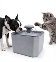 Fuente para Mascotas