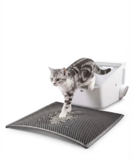 Alfombra de Arena Para Gatos